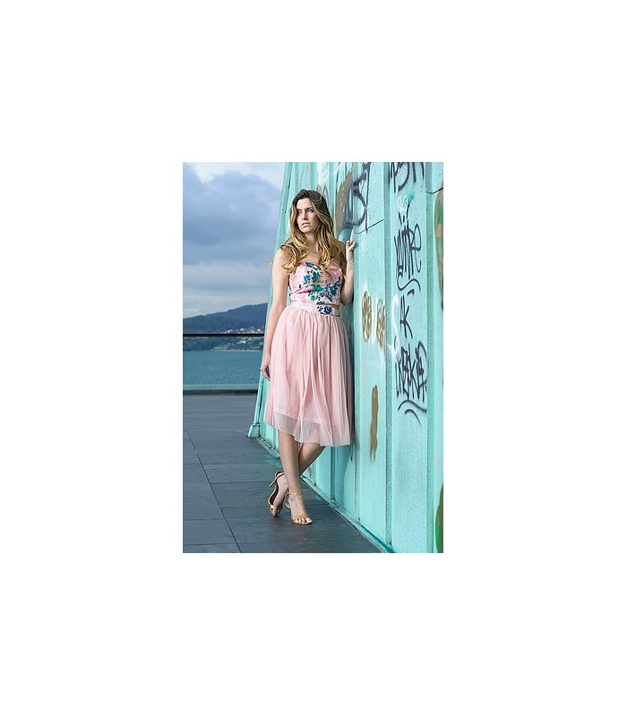 Agencia de viajes combinación estafa Falda-Tul-Rosa semitransparente con forro en rosa y cintura bordada